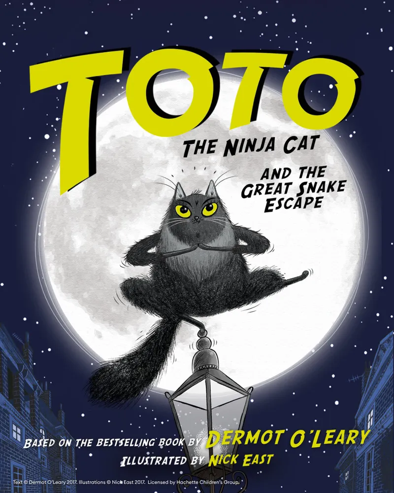 Toto The Ninja Cat